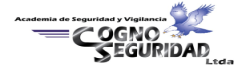 Academia de Seguridad y Vigilancia COGNOSEGURIDAD LTDA.